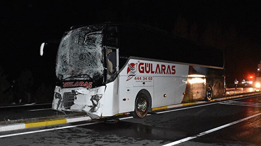 Yola çıkan at kazaya neden oldu: 18 yaralı (Video)