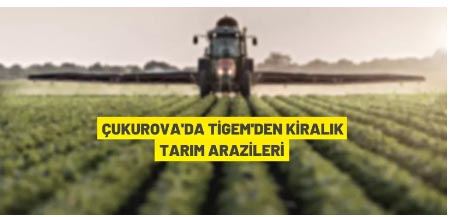 TİGEM'den kiralık tarım arazileri