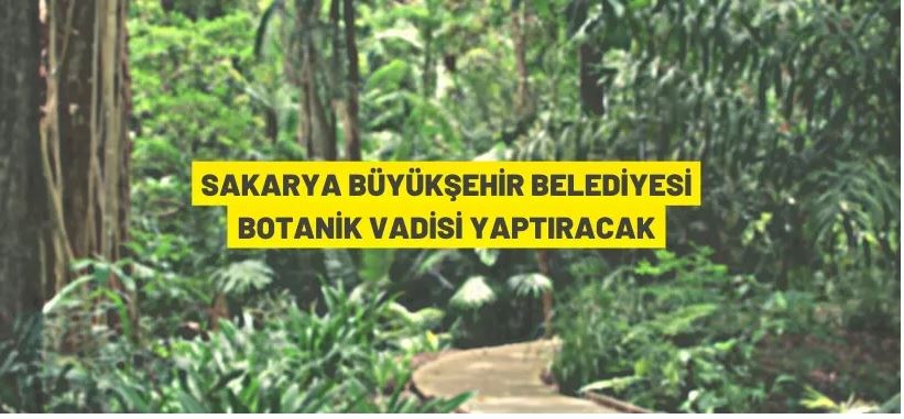 Sakarya'da botanik vadisi yaptırılacak