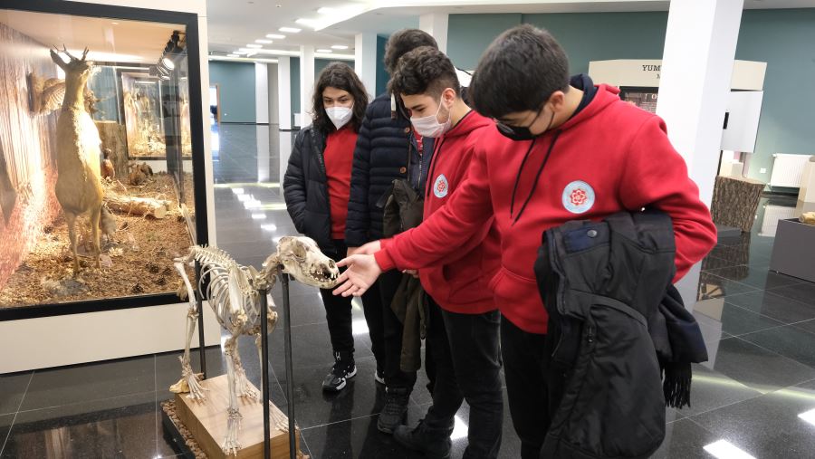 Müzeler ilk ziyaretçilerini ağırladı (Video)