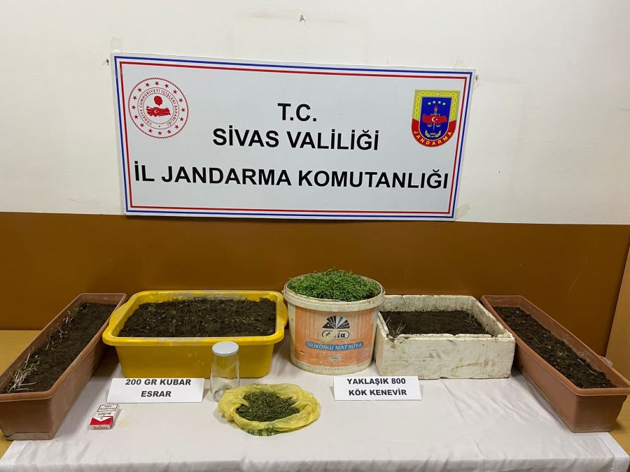 Jandarmadan uyuşturucu operasyonu 