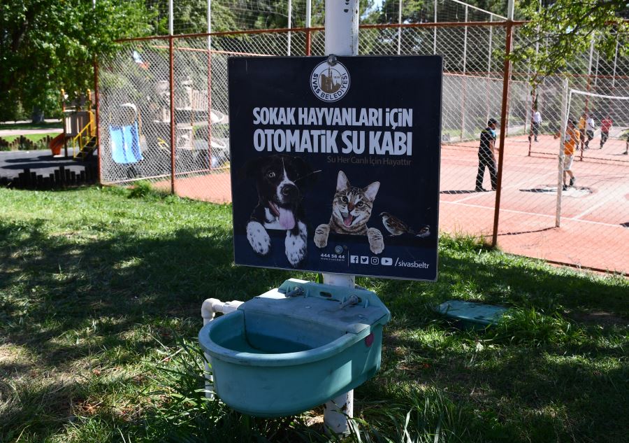 Sivas'ta sahipsiz hayvanlar otomatik su kapları sayesinde susuz kalmıyor