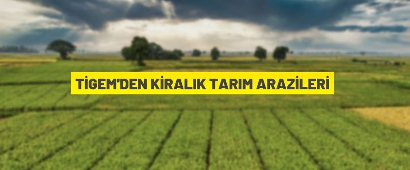 Çukurova Tarım İşletmesi Müdürlüğü, tarım arazilerini kiraya verecek