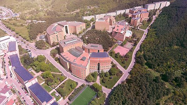 Yeditepe Üniversitesi Öğretim Üyesi alım ilanı